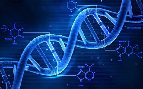 CRISPR cas9 Bộ công cụ sửa gen ứng dụng trong nghiên cứu điều trị