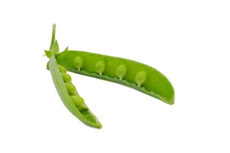 Pea Png Transparent Images Png All