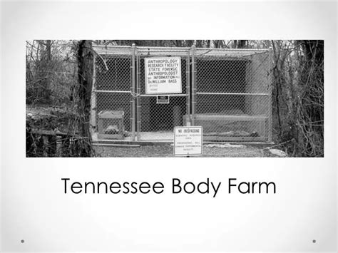 Ppt Tennessee Body Farm Powerpoint Presentation Free Download Id 2193198