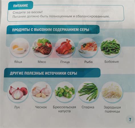 О еде | Пикабу