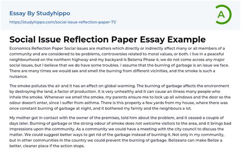 Social Issue Reflection Paper Essay Example Studyhippo