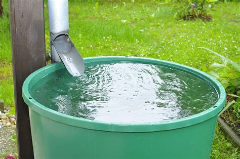 What You Need To Know About Rainwater Harvesting Systems