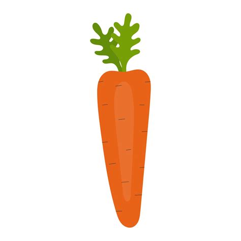 Simple Single Cute Carrot Healthy Food Vitamins Vegetables