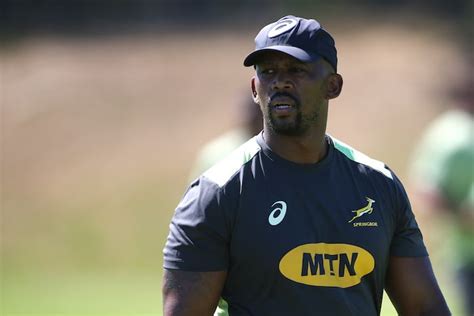 Springbok coaches renew contracts for four years