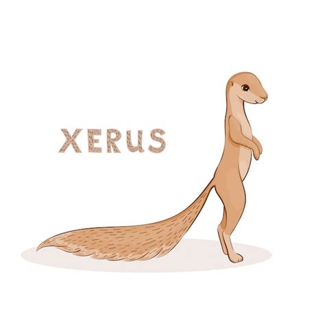 Cartoon xerus | Premium Vector