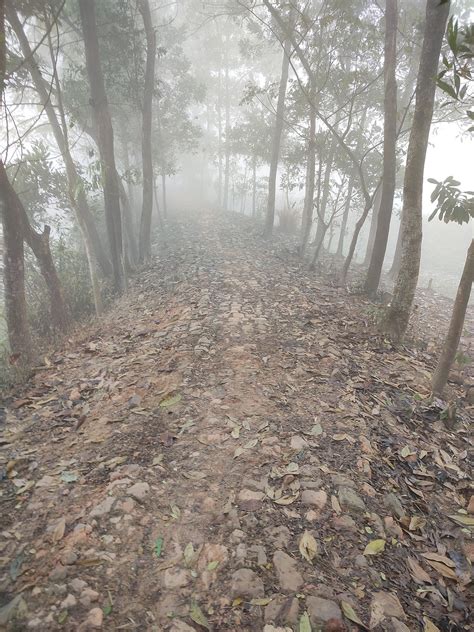 Foggy Road Good Morning Fog Winter Free Photo On Pixabay Pixabay