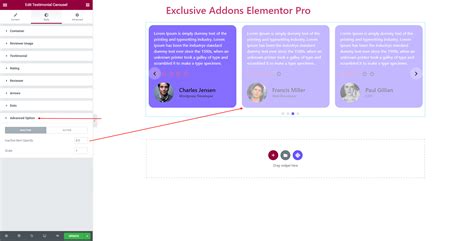 How To Configure Style Testimonial Carousel Widget With Elementor