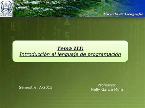 PDF Tema III Introducción al lenguaje de programación PDF