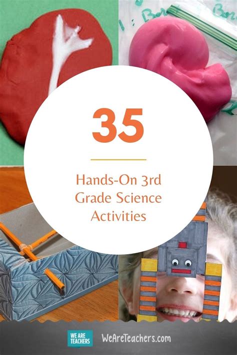 55 Hands-On Third Grade Science Activities | 3rd grade science projects ...