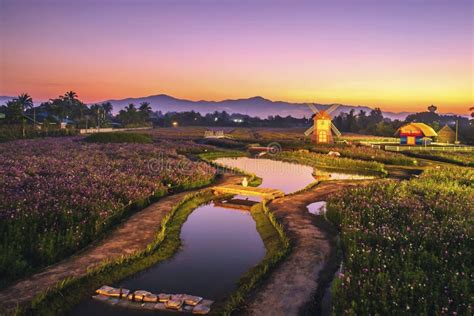 Landscape Of Flower Gardens Before Sunrise Stock Photo Image Of