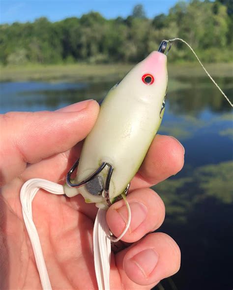 Bass Junkies Frog Pond Stanford Baits Boom Boom Frog Review