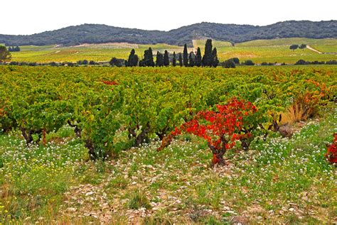 Provence Hiking - Great Explorations