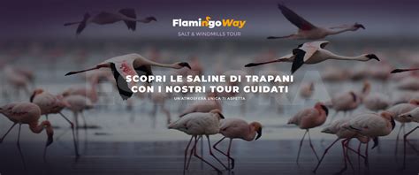 FLAMINGO WAY ALLA SCOPERTA DELLE SALINE DI TRAPANI E PACECO