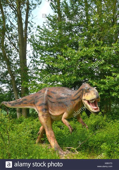 Albertosaurus Depredador Fotos E Imágenes De Stock Alamy