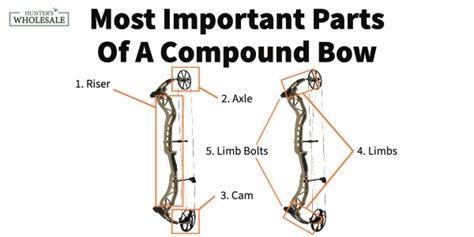 How To Identify The Parts Of A Compound Bow - Hunter’s Wholesale