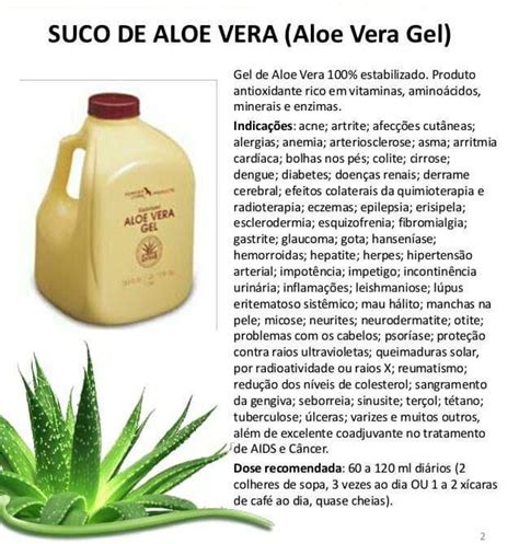 Kit Com 4 Unidades Aloe Vera Babosa Forever Living Gastrite R 320 00