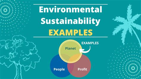 7 Environmental Sustainability Examples