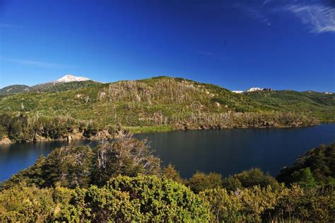 San Martin De Los Andes Lake And Transparent Waters With Trees