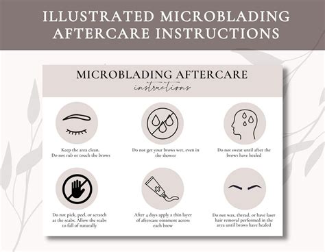 Illustrated Microblading Aftercare Instructions Microblading Business