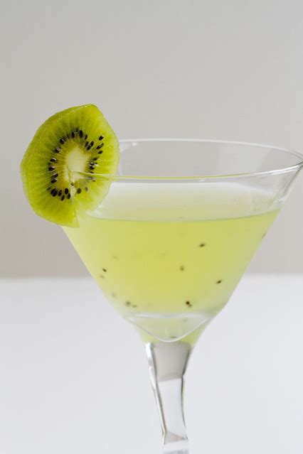 Vanilla Garlic The Argument For Same Sex Marriage Kiwi Gin Cocktail