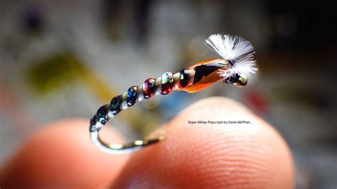 Tying The Super Midge Pupa By Davie Mcphail Fly Tying Fly Tying