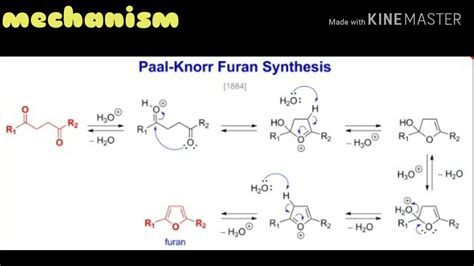 Paal Knorr Synthesis Of Furan By Mr Somdatta Chaudhari Youtube