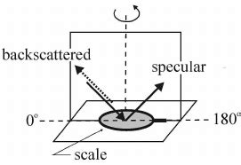 Geometry For The Goniometric Reflectance Measurements The Orientation