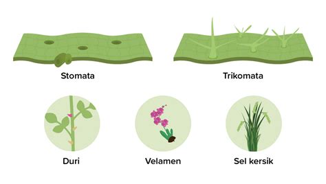 Perhatikan Gambar Berikut Berdasarkan Gamba