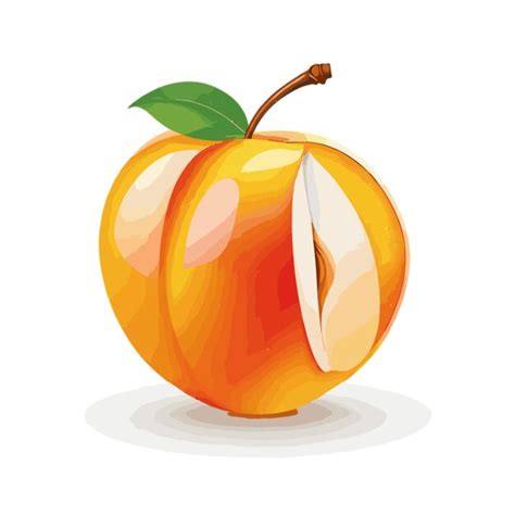 Premium Vector Nectarine Vector