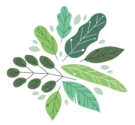 Premium Vector Beautiful Fresh Green Leaves Flat Style Vector