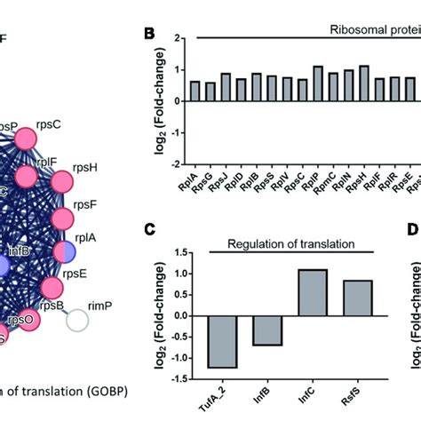 A Protein Protein Interaction Network Of The Gene Ontology Go Terms Download Scientific