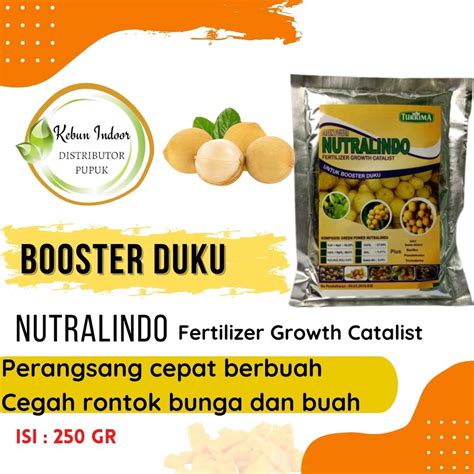 Jual Pupuk Booster Pelebat Buah Duku Agar Cepat Berbuah Pupuk Organik