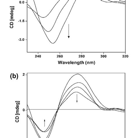 Circular Dichroism Spectra Of CT DNA In The Absence R 0 And In