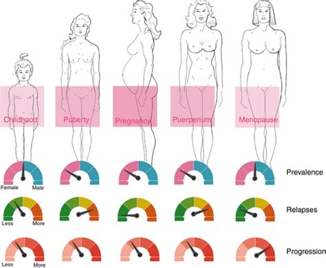 Impact Of Sex Hormones On Immune Function And Multiple Sclerosis Development Ysrraelit 2019