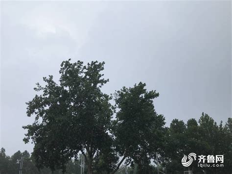 济南突降急雨！今天下午到明天白天，鲁西北、鲁东南和半岛地区多雷阵雨 9级大风 齐鲁原创 山东新闻 新闻 齐鲁网