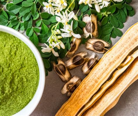 Moringa Moringa oleifera benefici proprietà e utilizzi