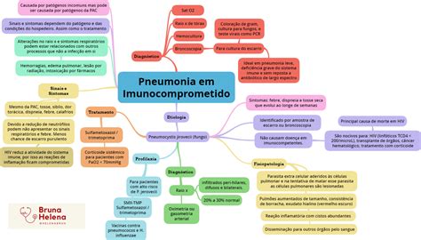 Pneumonia Em Imunocomprometidos Mapa Mental Fisiopatologia The Best