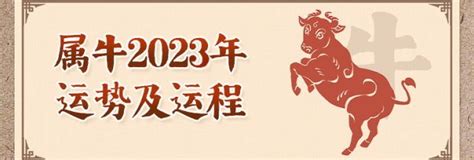 属牛人2023年全年运势运程详解 每月运势完整版第一星座网