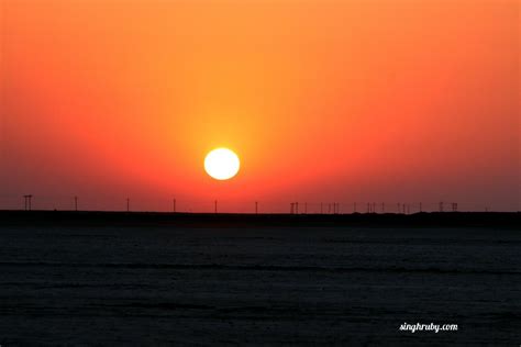 Rann Of Kutch : The White Salt Desert - Life and Its Experiments