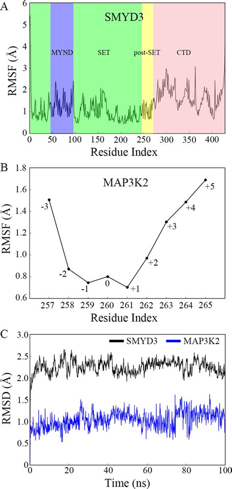 Structural Deviation And Flexibility In The Ns Md Simulation A