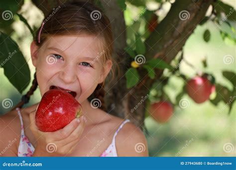 Chica Joven Que Come Una Manzana Foto De Archivo Imagen De Poco