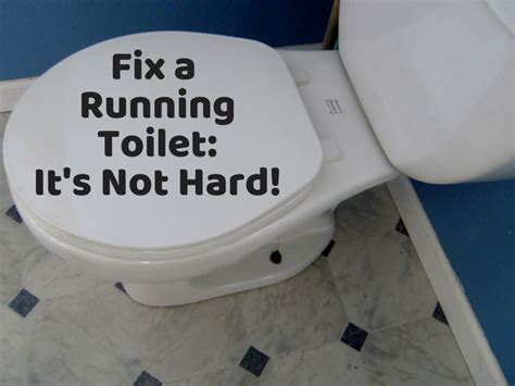 Toilet Repair How To Fix A Leaking Or Running Toilet Hubpages