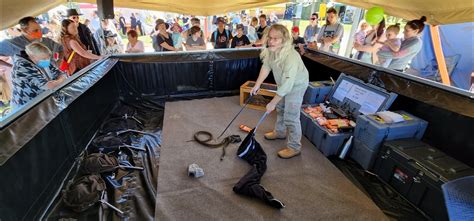 Urban Reptiles Pine Rivers Show