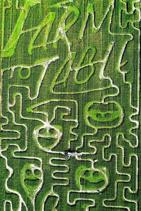 20 Best Corn Mazes Near Me in the US