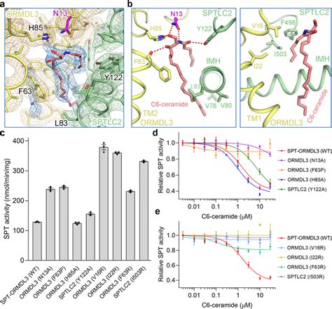 The Ceramide Binding Site In Spt Ormdl Complex A A Close Up View Of