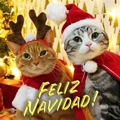 Imágenes De Feliz Navidad 60 Tarjetas De Felicitación Para Navidad