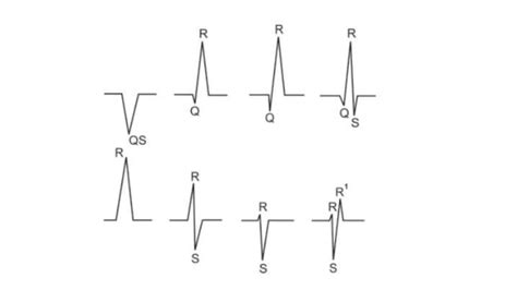 Electrocardiograma Fundamentos Historia Y Partes Basicas Ppt