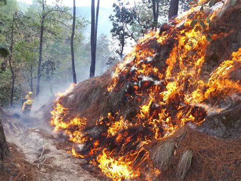 Giammattei Solicita Ayuda Internacional Para Combatir Incendios