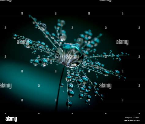 Fine Art Water Droplet Photography Stock Photo Alamy