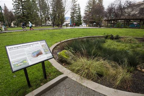 Rain Gardens Per Gestire Allagamenti E Inquinamento Villegiardini